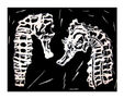 Caballitos de mar  (Seahorses)