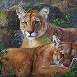 Animales thumbnail 2