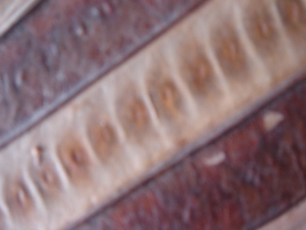 textura