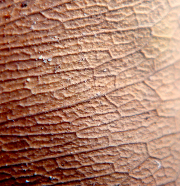 textura