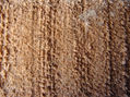 textuta