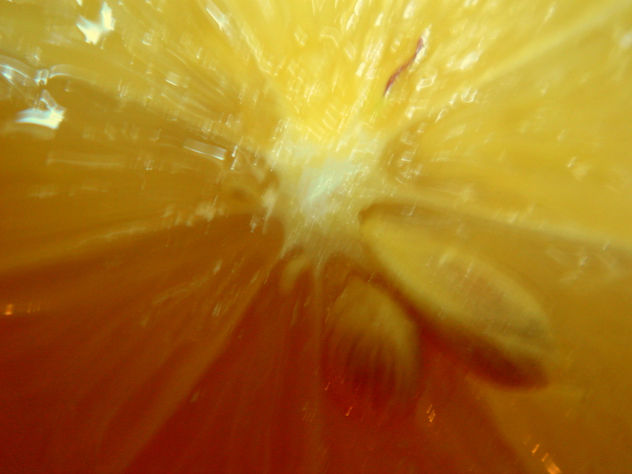 limón