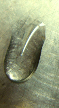 Gota