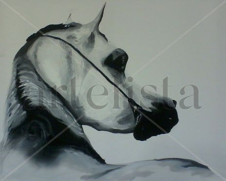 Horse White