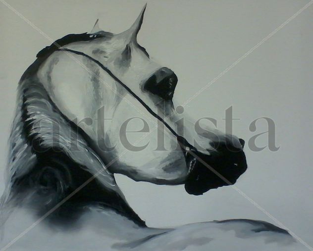 Horse White