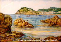 Tossas 38x55 cm nº87