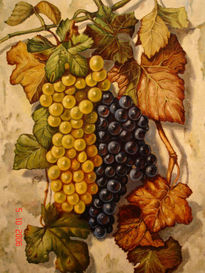 Uvas sobre pared...