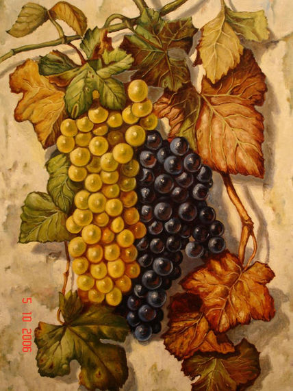 Uvas sobre pared...