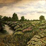 IMAGENES DEL CAMPO thumbnail 2