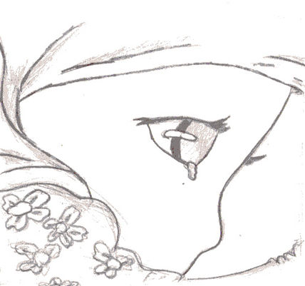 Autor: Àlex Tomé