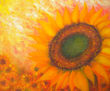 Agosto. Nutrición. Alimento sol