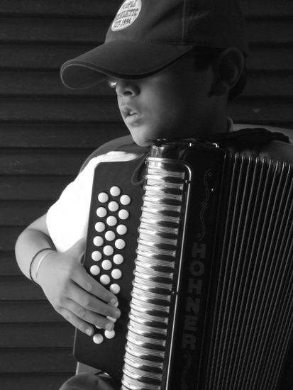 Pequeño Juglar Retrato Blanco y Negro (Digital)