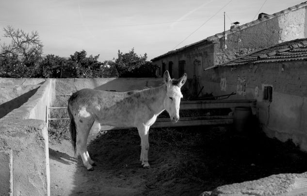 El último héroe Portrait Black and White (Digital)