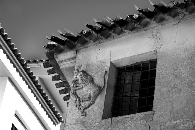 Contraste Arquitectura e interiorismo Blanco y Negro (Digital)