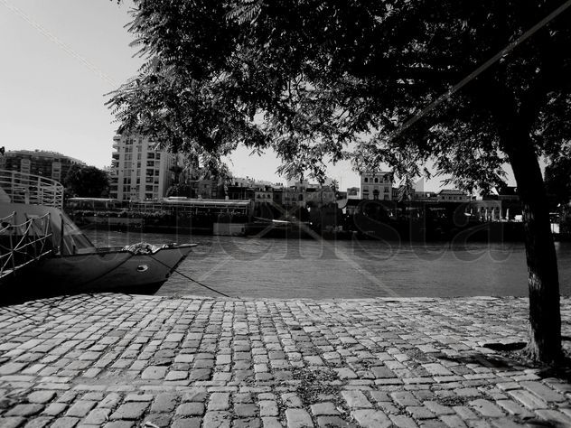 Guadalquivir2