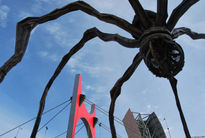 Araña2