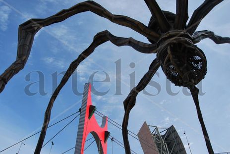 Araña2