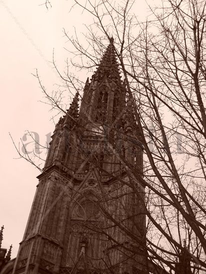 catedral Architecture and Interiorism Black and White (Digital)