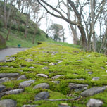 Naturaleza thumbnail 1