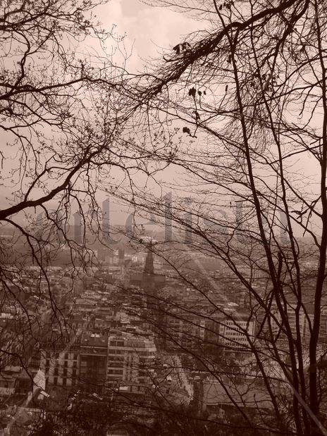 Vistas
