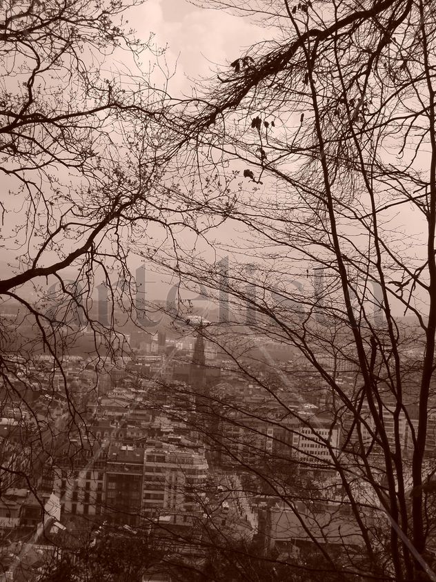 vistas