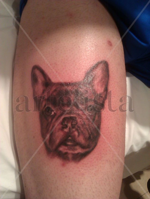 Bulldog frances tatuaje,tattoo en negro por Moacir lemos