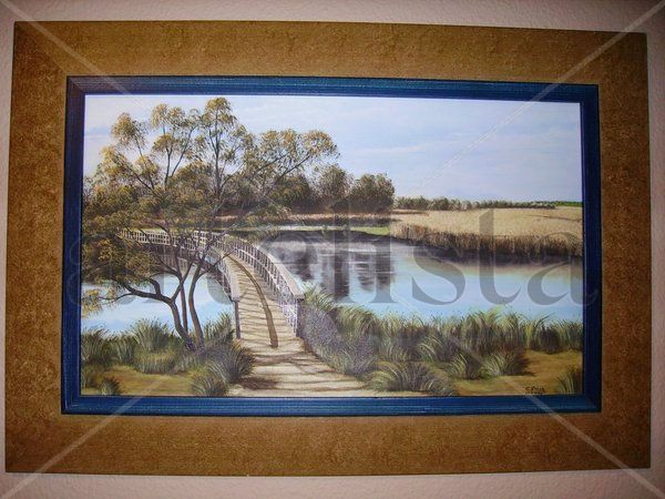 Tablas de Daimiel