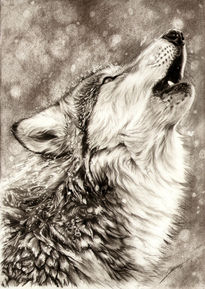 Howling Wolf