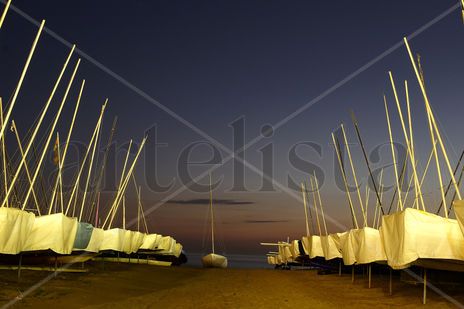 Veleros al atardecer