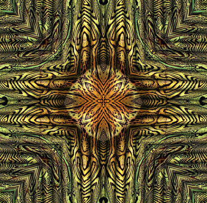 Jungle