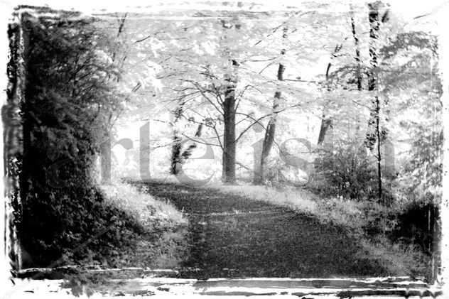 camino