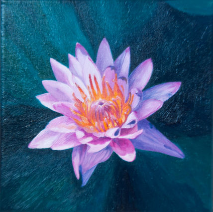 Flor Violeta