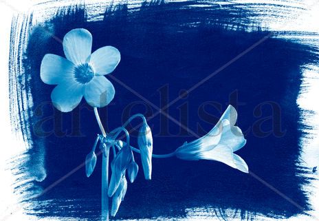 Flor en azul