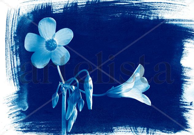 flor en azul