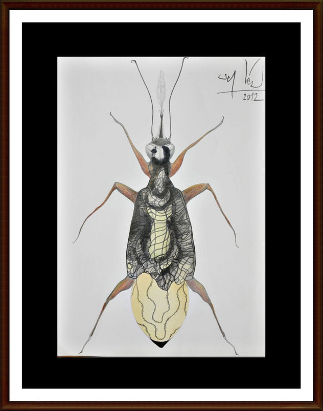 Psico-Insecto Chinche de la Pradera