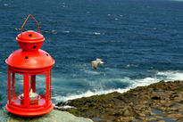 La farola y la gaviota