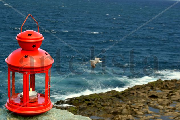la farola y la gaviota
