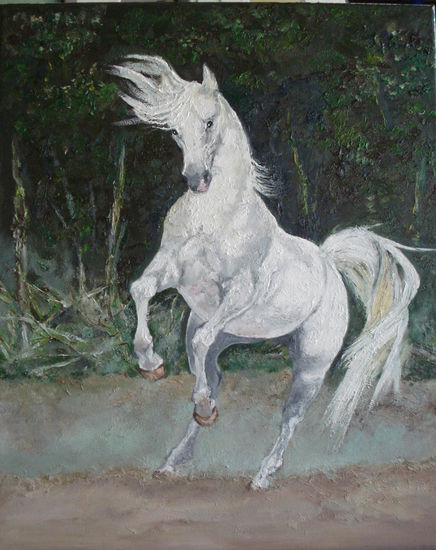 CABALLO BLANCO SALVAJE Óleo Tela Animales