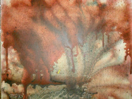 Sangre y fuego