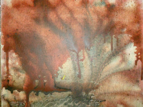 Sangre y fuego