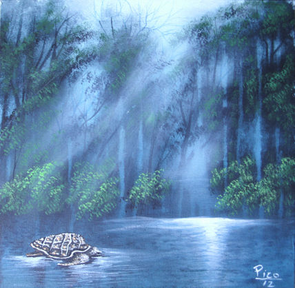 Tortuguero. costa...