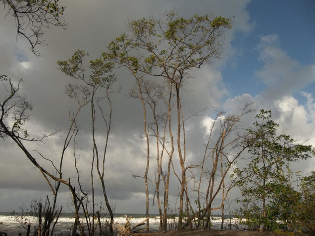 calero de costa rica