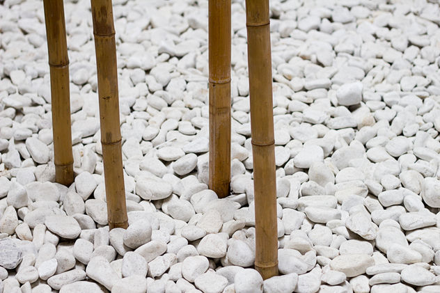 jardín zen