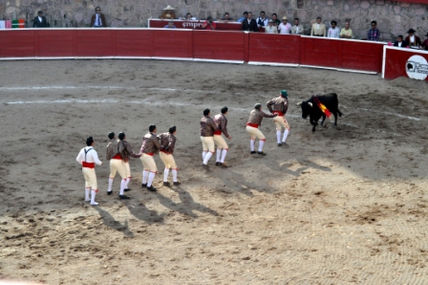 Forcados