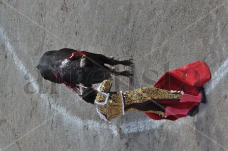 Matador