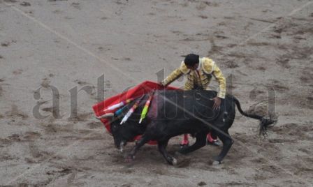 Toros