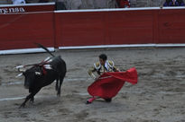 Torero