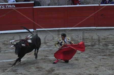 Torero