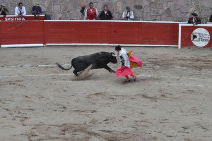 Óle matador