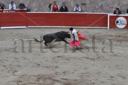 Óle matador
